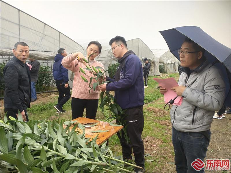 农科院科研人员进行现场测量 东南网记者张立庆摄.jpg