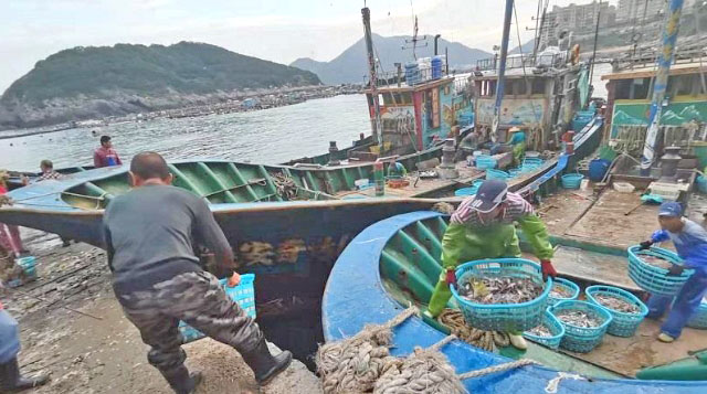 福州大力推進魚丸產業發展 打響“海上福州”國際品牌