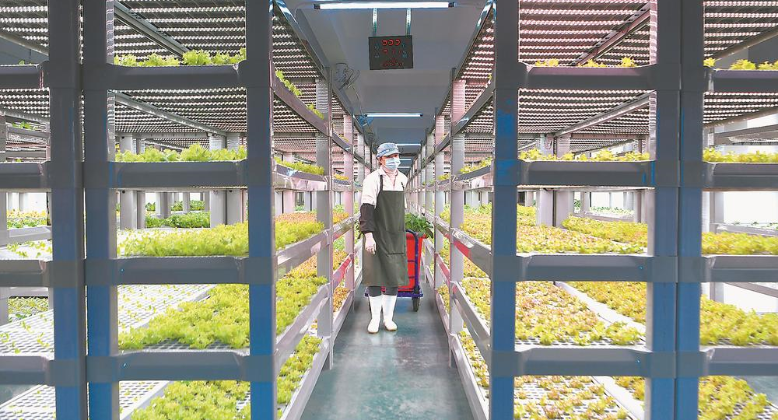 福建：科技赋能引领农业新发展
