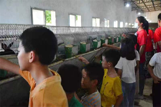孩子们在上杭通贤乌兔科技小院，与乌兔“亲密接触” 福建农林大学供图.jpg