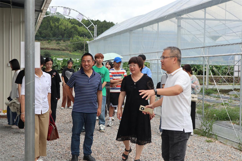 外国语学院实践队在宁德市古田县凤埔乡西溪村果蔬种植大棚参观学习.png