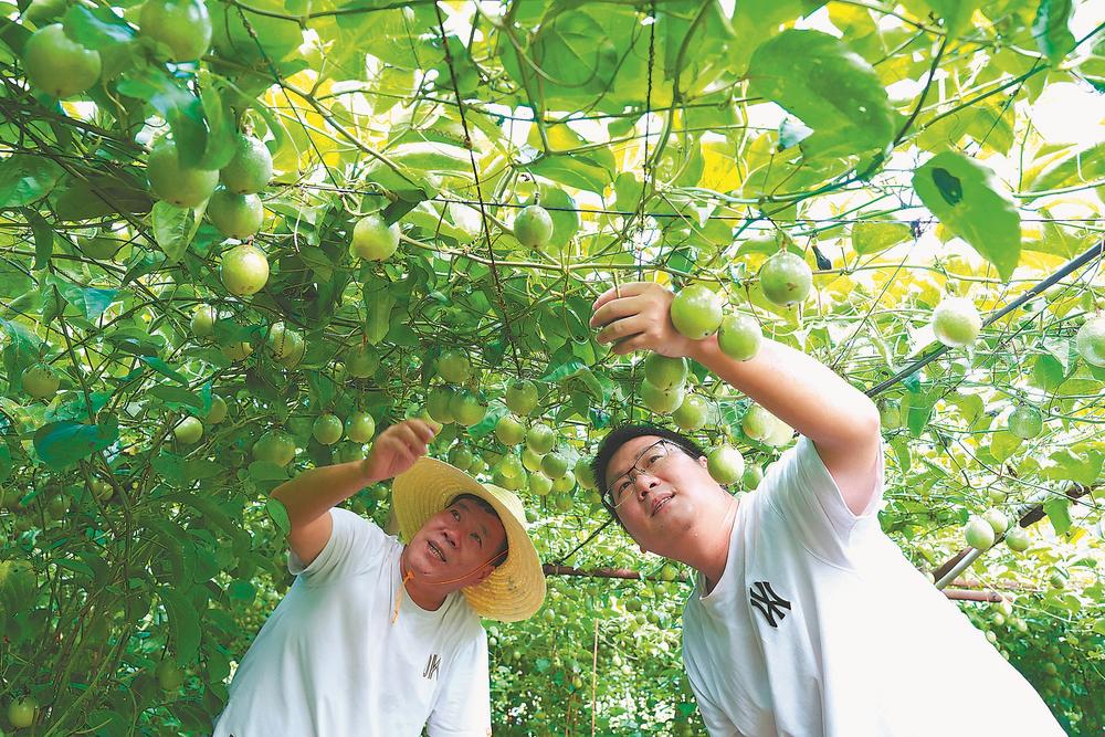 植入新理念引来八方客