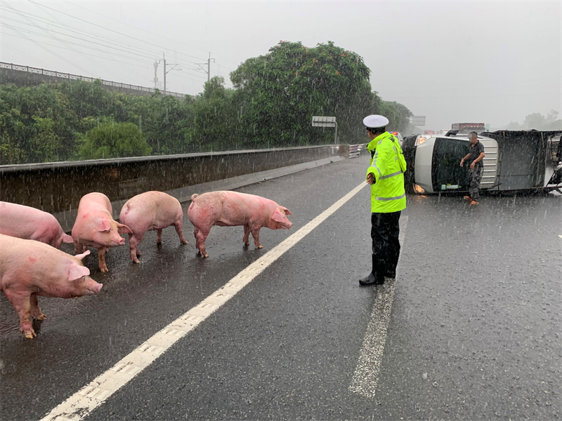 厦门高速交警供图.jpg