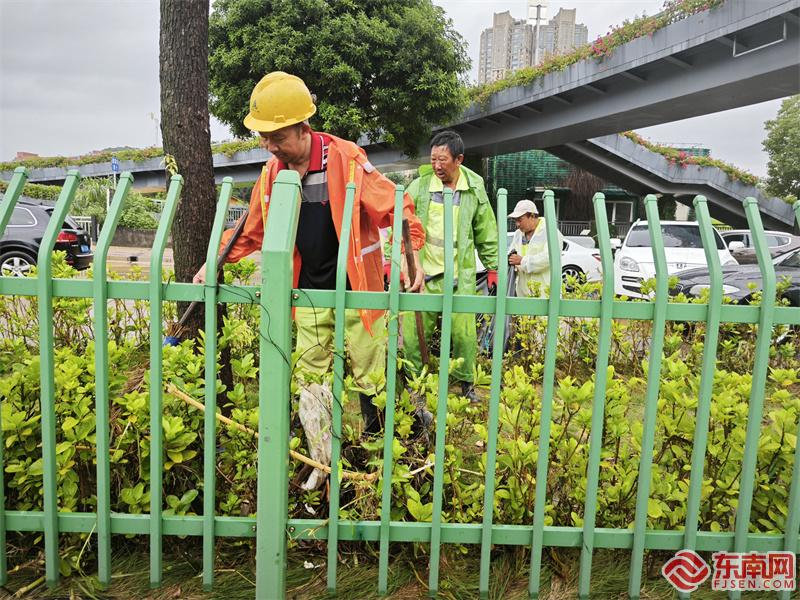 福州街头，环卫工人手持工具清理路面。东南网记者 施良德 摄.jpg