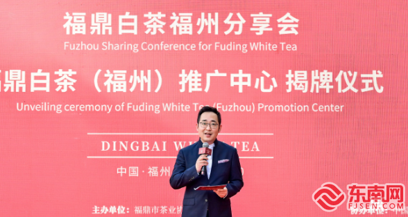 福鼎白茶（福州）推广中心正式成立 助力白茶走向世界