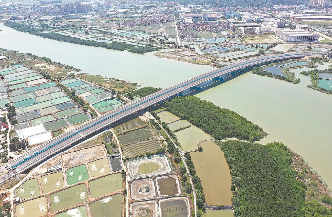 国道G228线龙海锦江大道CD段项目顺利完工