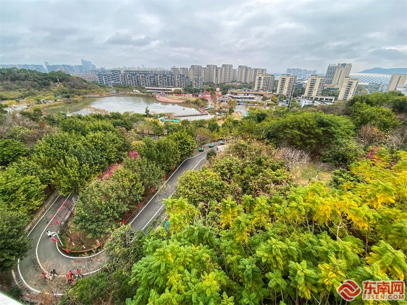 在绿树成荫的步道上，健步走参与者的红色衣服格外引人注目 东南网记者颜财斌 摄.jpg