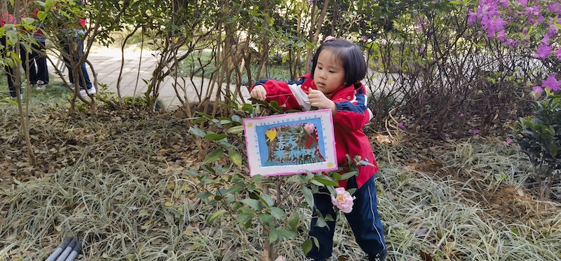一位小朋友正在为今日新种的树挂上心愿卡。刘岚冲 摄.jpg