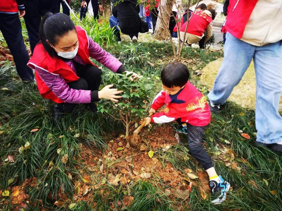 今日，蓓蕾幼儿园师生参与义务植树活动。张耀升 摄.png