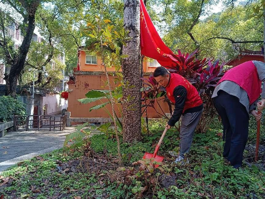 福建省科学技术厅志愿者参与义务植树。郑雅敏 摄.png