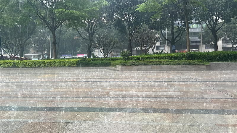 今日福州市降雨实拍。东南网记者 余跃 摄.jpg