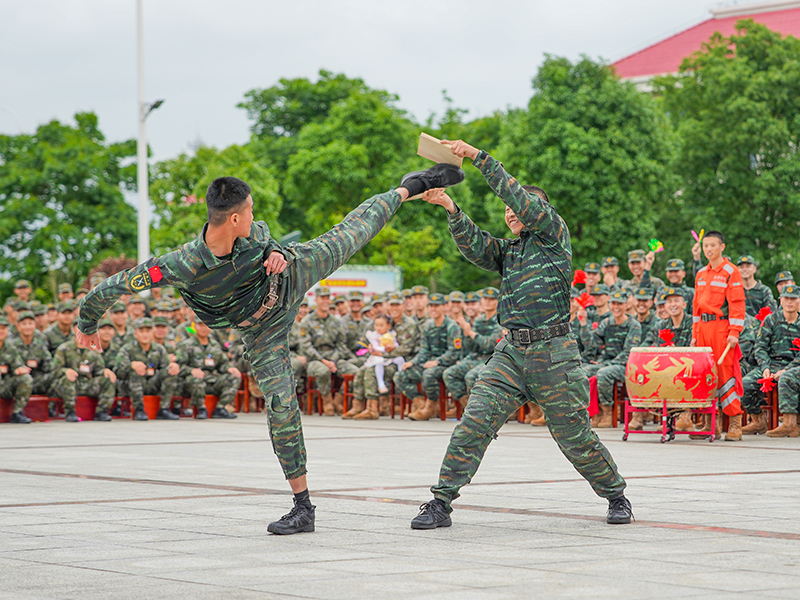 图为武术表演。  冯之枫 摄.jpg