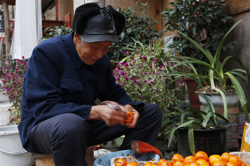 在龙潭村内，村民在处理新采摘的柿子。.jpg