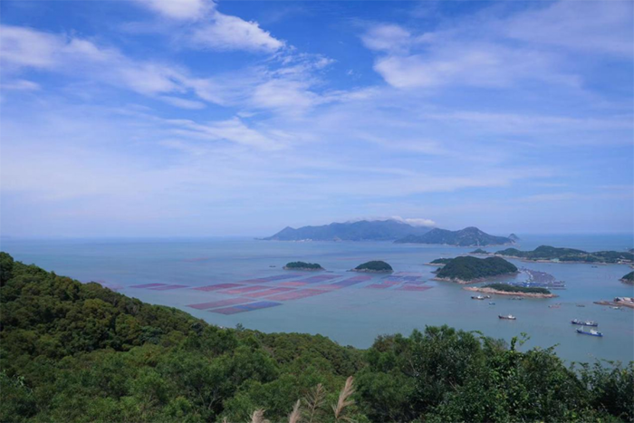 沿著國道G228看福建｜在霞浦三沙，邂逅一場光影的浪漫