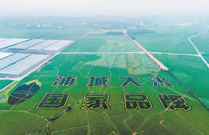 2024年浦城县人口_海南水务集团与昌江县zf共同组建昌江水投揭牌!