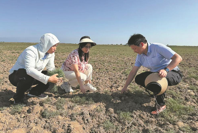 开云体育官网党报记者八闽调研行丨福建农林大学这位女教授了不起(图3)