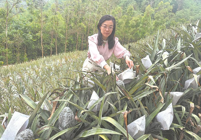 开云体育官网党报记者八闽调研行丨福建农林大学这位女教授了不起(图4)