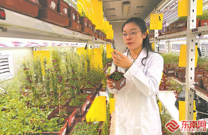 开云体育官网党报记者八闽调研行丨福建农林大学这位女教授了不起(图1)