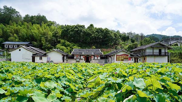 龙岩武平：将军故居走出“红绿融合”振兴路