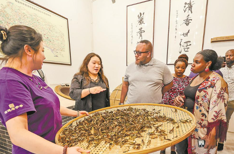津巴布韦青年在武夷山访茶