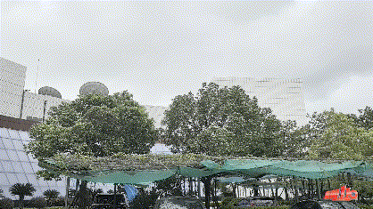 31d2d637bb7a4474b8203450e3e3fa54_d69732ec-d7c7-41ae-988a-00cf5ea23101.gif