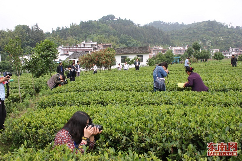 江西上犹县园村"因地制宜"发展旅游产业