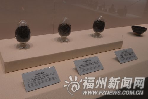 福州新闻网