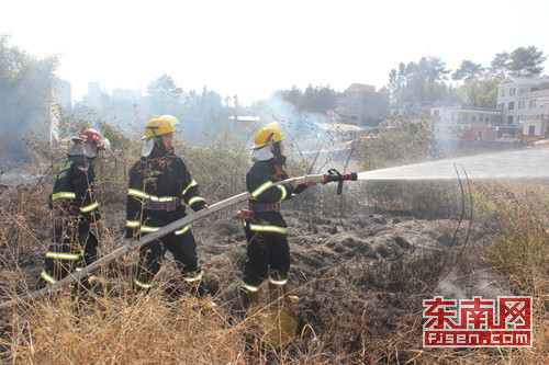 临城镇人口_手机基金会中心网(3)