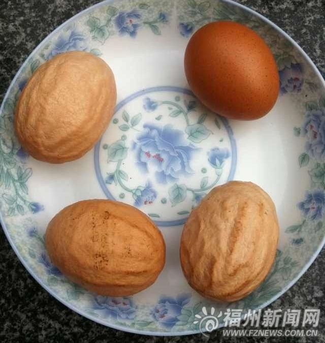 福清一村民家母鸡产下三个怪蛋　表面坑洼似核桃