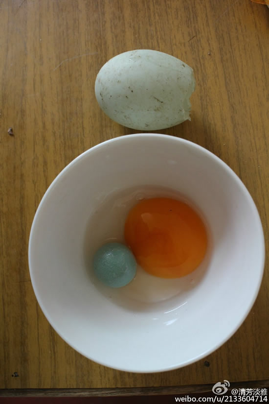 鸭蛋里藏着颗绿色“小球”　专家：蛋中蛋可食用