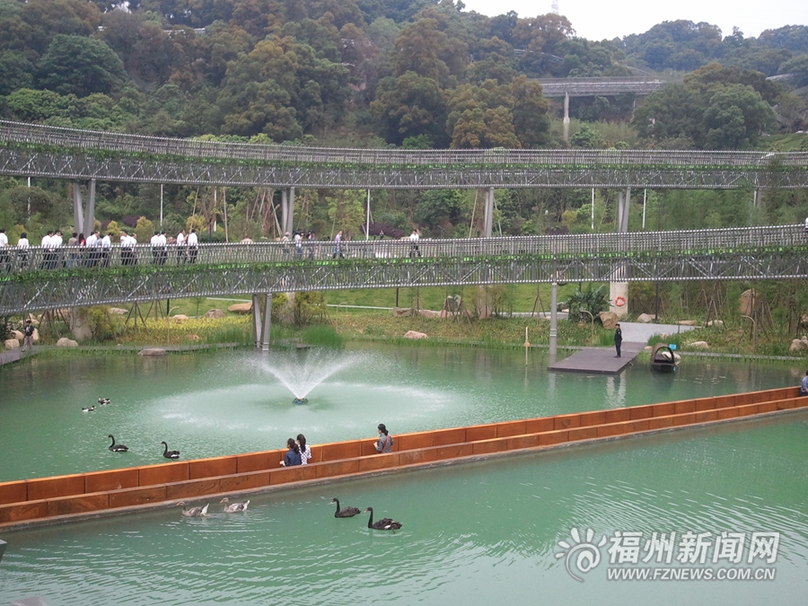 福道梅峰公园山地游览区基本建成　市民尝鲜水中栈道