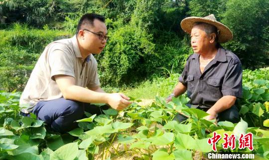 福建老区村脱贫路：村民回乡创业农民发展生态种养殖