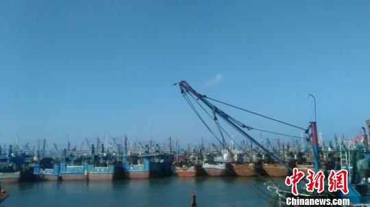 台风“鲇鱼”逼近：泉州渔港异常繁忙渔民加紧卸货固船