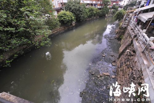 瀛洲河边的老旧小区，仍有大量生活污水排进河里，造成河水黑臭 