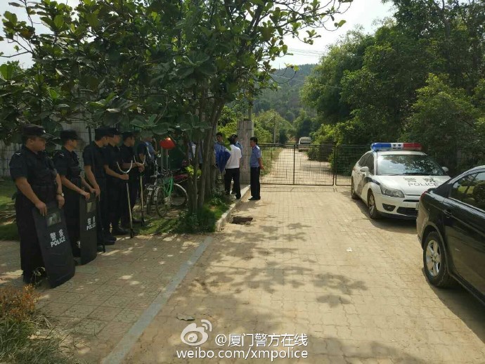 厦门海沧动物园逃跑老虎已在动物园内被发现控制