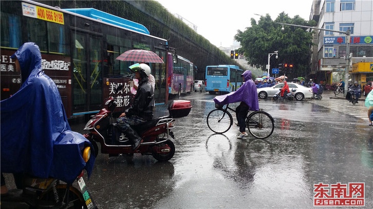 在西洪路上，市民冒雨出行.jpg