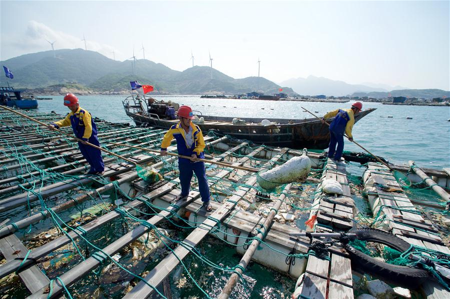 （世界海洋日）（1）福建：清理海漂垃圾 守护蔚蓝海洋