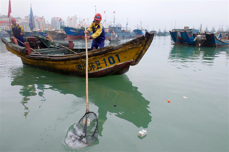 （世界海洋日）（3）福建：清理海漂垃圾 守护蔚蓝海洋