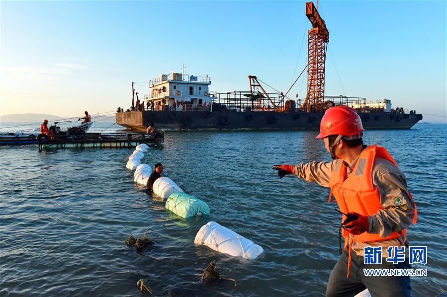 （经济）（1）福建湄洲岛首条110千伏海底电缆敷设成功