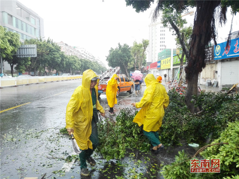 仓山区濂水路出现部分树干树枝折断，图为园林工人正在现场处理..jpg