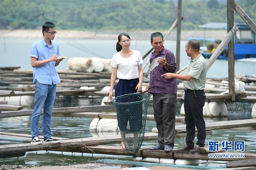 （社会）（1）福建宁德：深入一线摸排 对焦“精准扶贫”