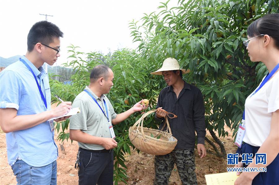 （社会）（2）福建宁德：深入一线摸排 对焦“精准扶贫”