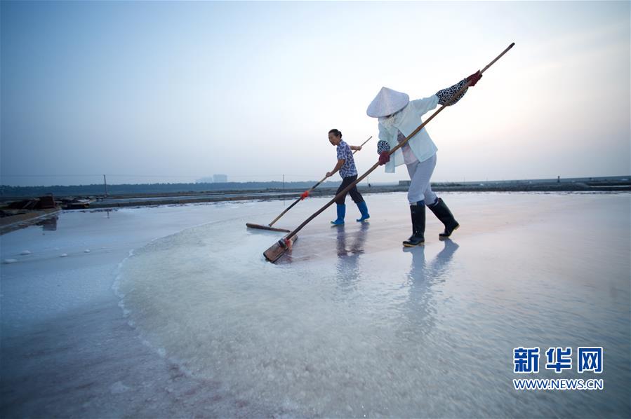 （社会）（2）福建泉州：百年盐场的繁忙伏收季