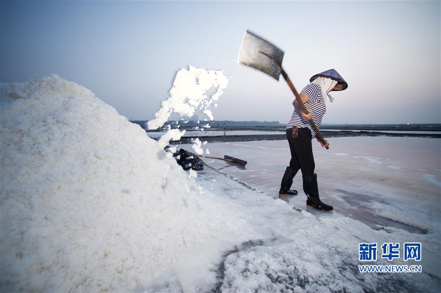 （社会）（4）福建泉州：百年盐场的繁忙伏收季