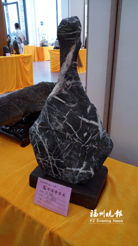平潭展出300多块奇石　有二三十个品种展期5天