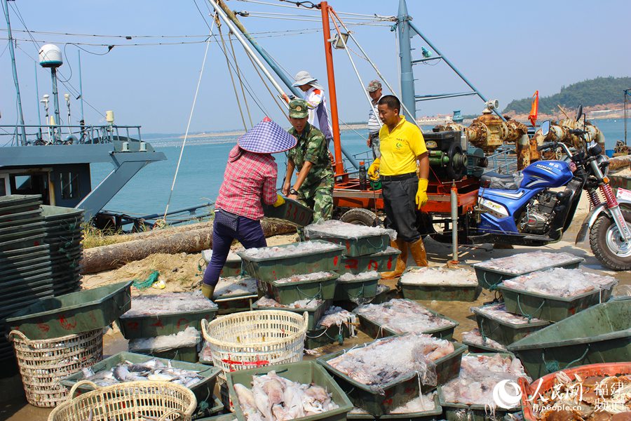 东山边防官兵帮助渔民抢收渔货