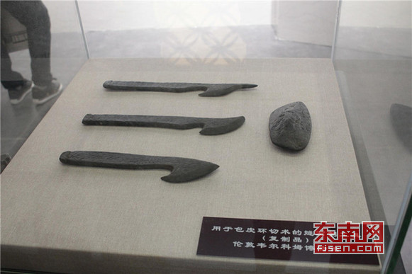 IMG_1936_爱奇艺.jpg