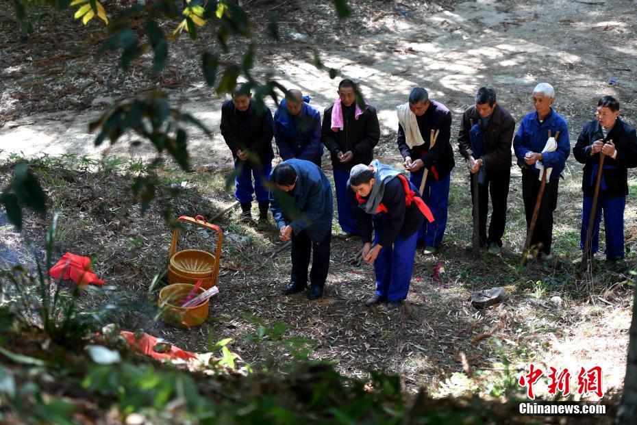 树筒号子 远去的客家伐木人发自肺腑的天籁之声 东南网 福建官方新闻门户