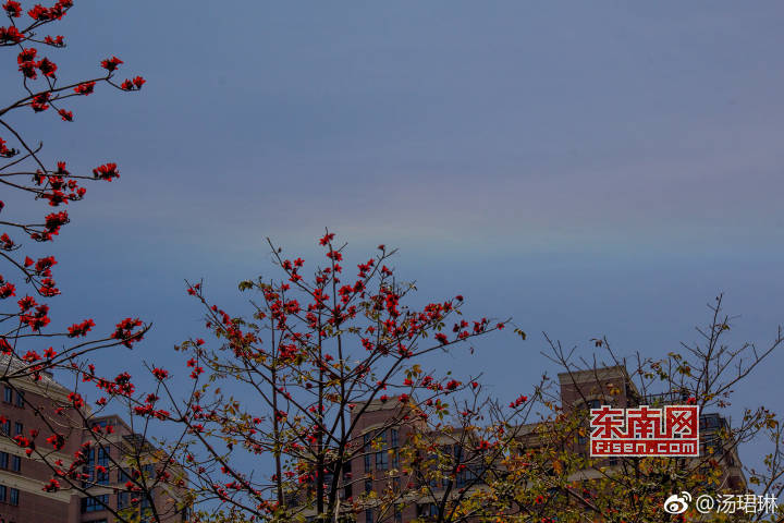 福州市上空惊现环地平弧奇观 汤珺琳摄.jpg