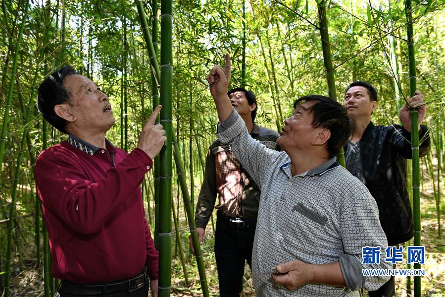 （社会）（2）福建建瓯：党建引领 富民强村